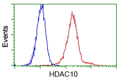 Anti-HDAC10 antibody [2H6] used in Flow cytometry (FCM). GTX84387
