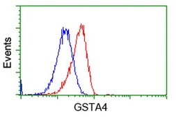 Anti-GSTA4 antibody [3F5] used in Flow cytometry (FCM). GTX84405