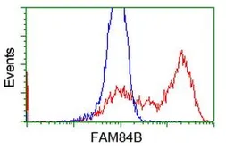 Anti-FAM84B antibody [4A4] used in Flow cytometry (FCM). GTX84525