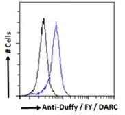 Anti-DARC antibody, N-term used in Flow cytometry (FCM). GTX89467