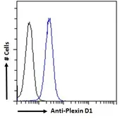 Anti-Plexin D1 antibody, Internal used in Flow cytometry (FCM). GTX89601
